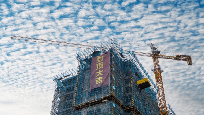 园林绿化工程苗木价格背后的考量因素**